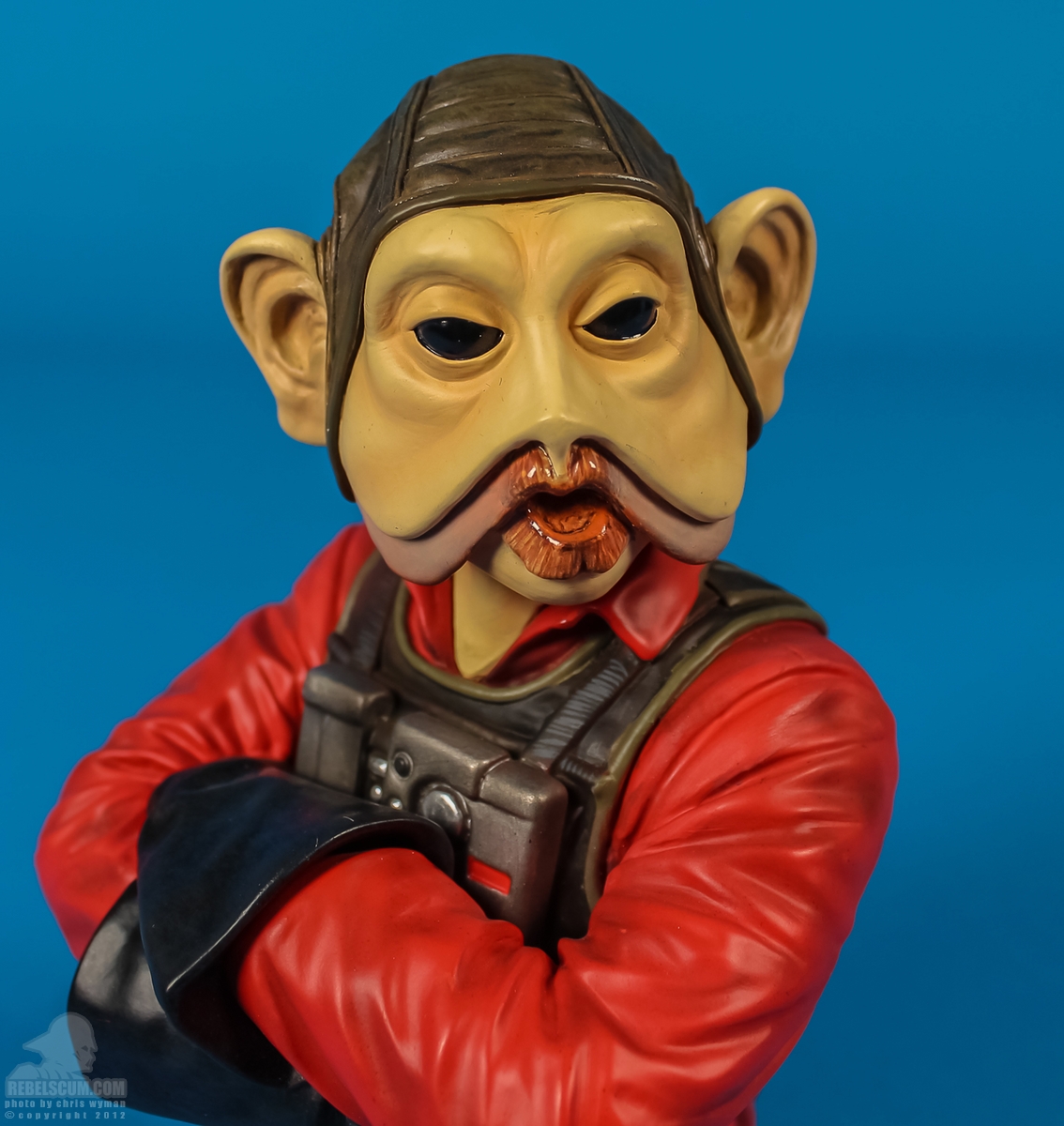 Nien_Nunb_Mini_Bust_Gentle_Giant-05.jpg