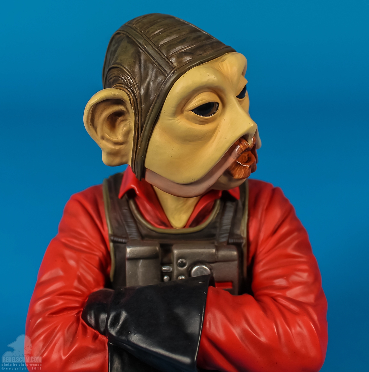 Nien_Nunb_Mini_Bust_Gentle_Giant-06.jpg