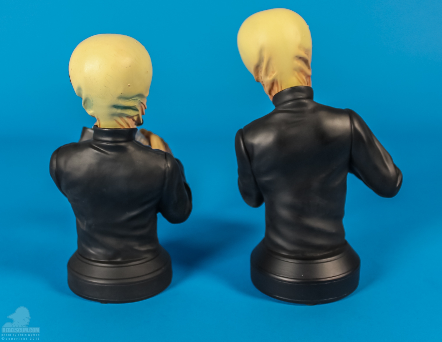 Tedn_Dahai_Modal_Nodes_Mini_Bust_Gentle_Giant-16.jpg