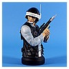 Rebel-Fleet-Trooper-Mini-Bust-Gentle-Giant-Ltd-001.jpg