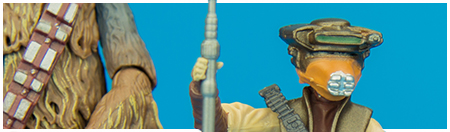 #17 Princess Leia Organa (In Boushh Disguise) from Hasbro's The Black Series collection