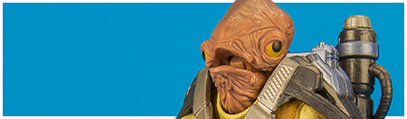 Admiral Ackbar from Hasbro's Star Wars: The Force Awakens collection Admiral Ackbar from Hasbro's Star Wars: The Force Awakens collection