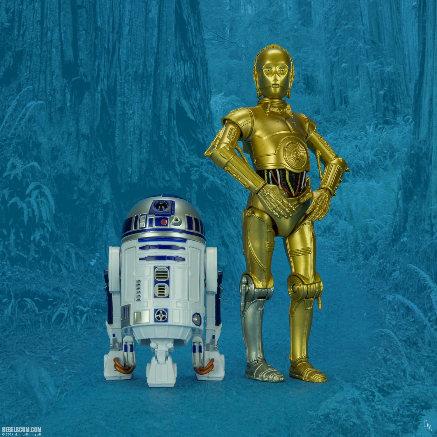 C-3PO-C0065-The-Black-Series-Walgreens-EB-Games-012.jpg