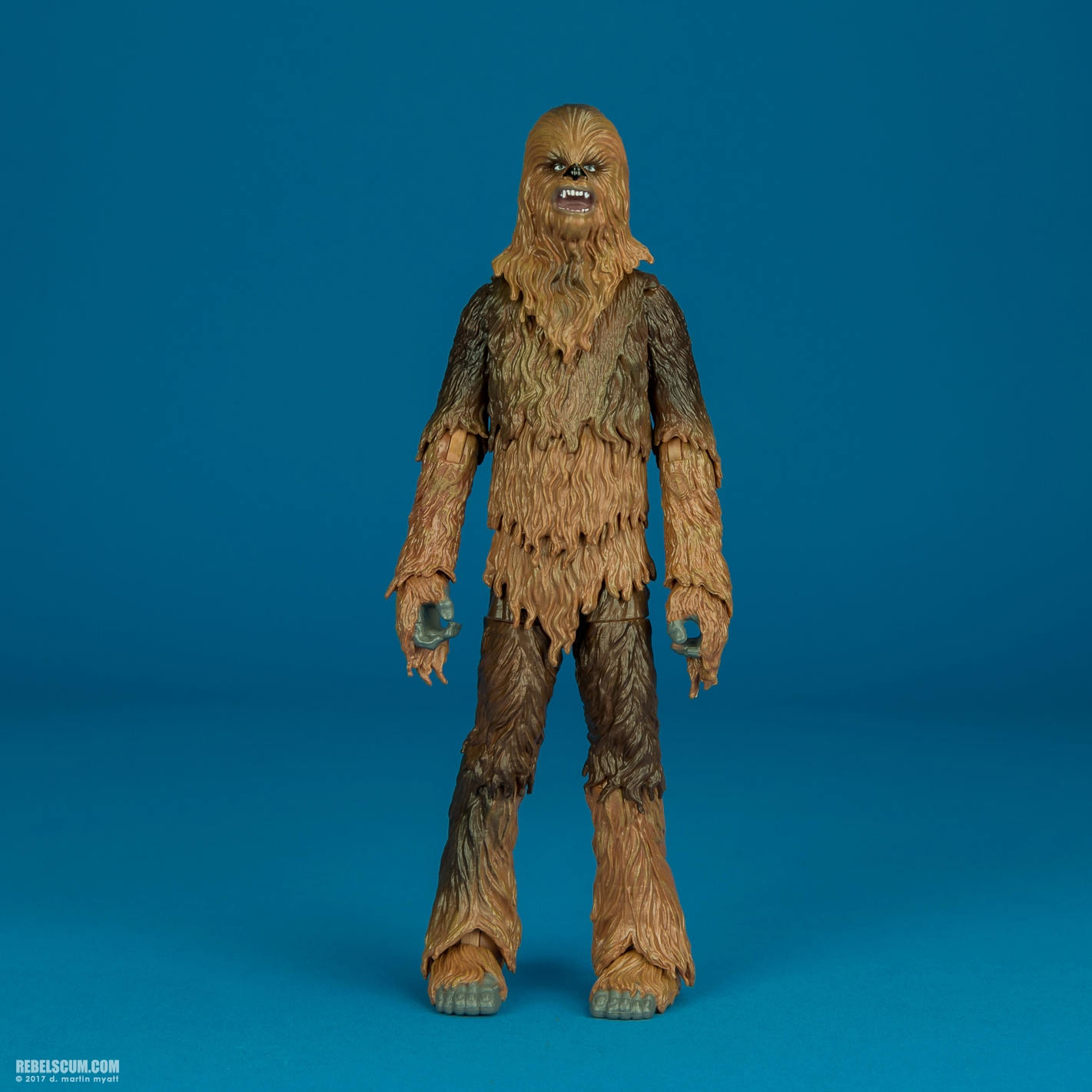 Chewbacca-C2260-C1688-40th-Anniversary-6-inch-001.jpg