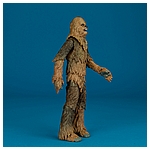 Chewbacca-C2260-C1688-40th-Anniversary-6-inch-002.jpg