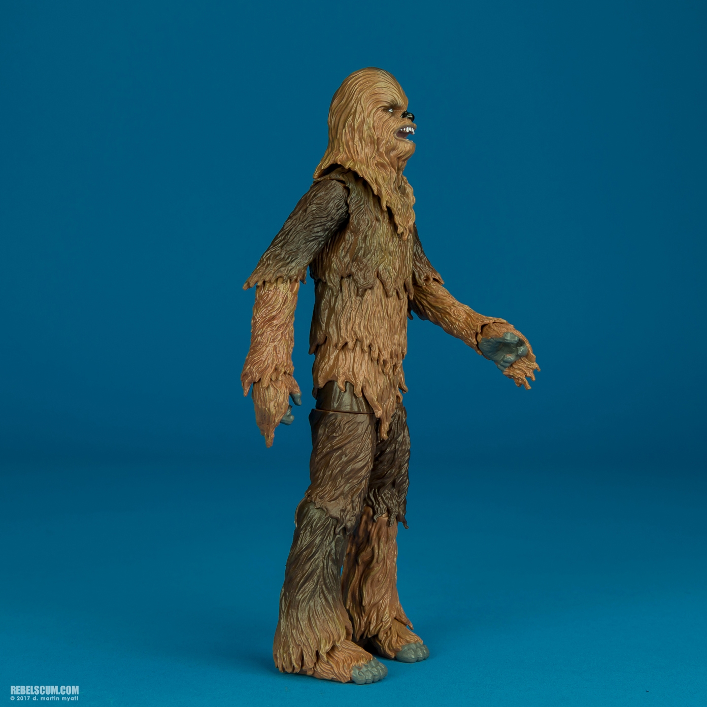 Chewbacca-C2260-C1688-40th-Anniversary-6-inch-002.jpg