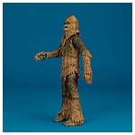 Chewbacca-C2260-C1688-40th-Anniversary-6-inch-003.jpg