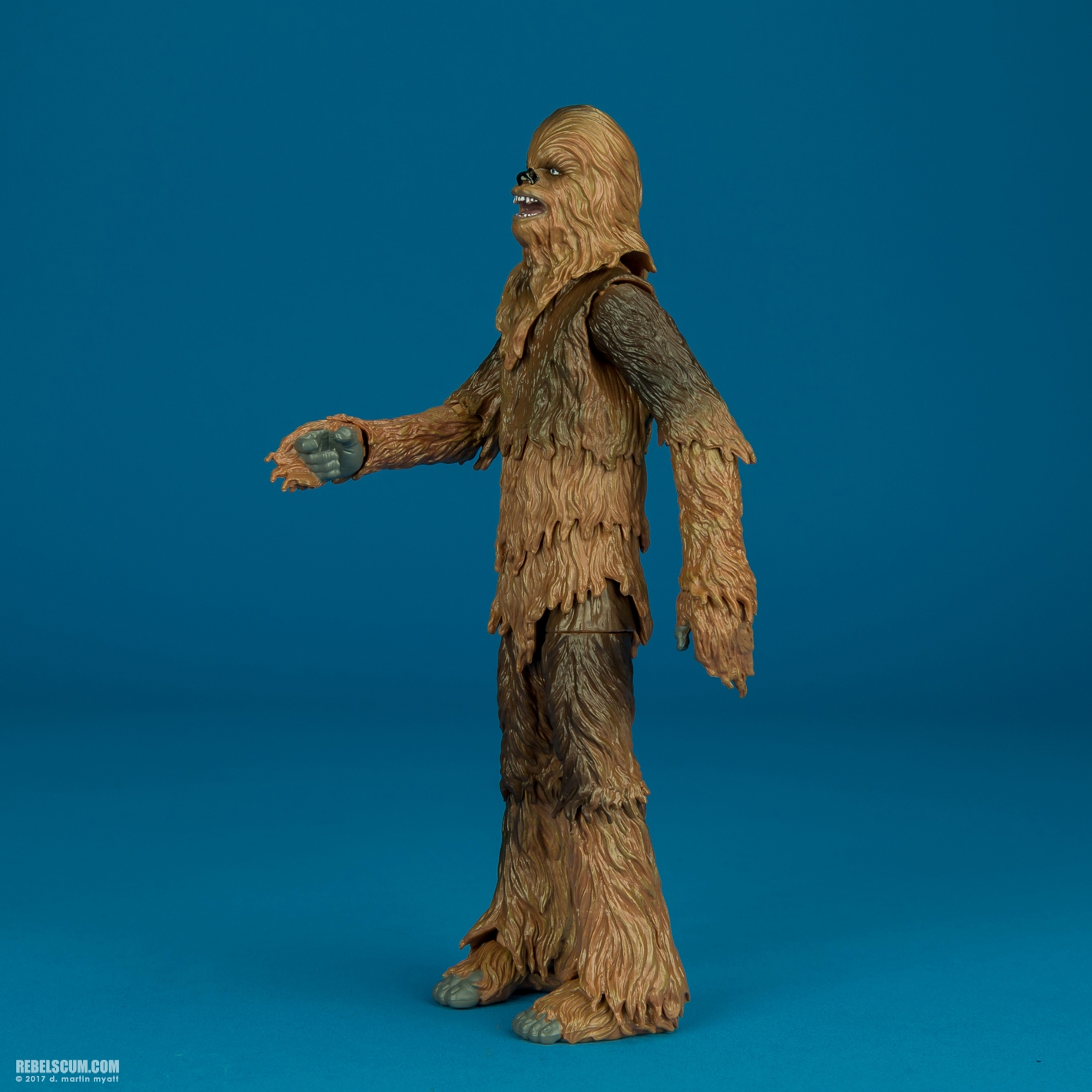 Chewbacca-C2260-C1688-40th-Anniversary-6-inch-003.jpg