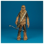 Chewbacca-C2260-C1688-40th-Anniversary-6-inch-005.jpg