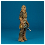 Chewbacca-C2260-C1688-40th-Anniversary-6-inch-006.jpg