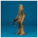 Chewbacca-C2260-C1688-40th-Anniversary-6-inch-007.jpg