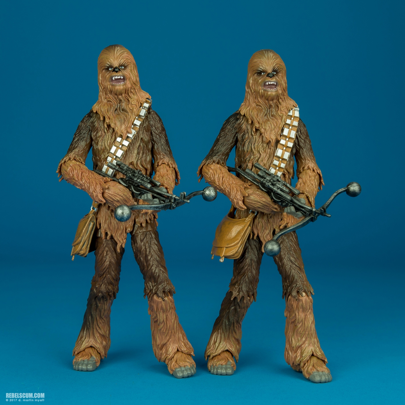 Chewbacca-C2260-C1688-40th-Anniversary-6-inch-010.jpg