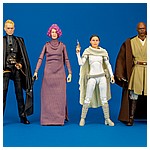 Mace Windu - The Black Series from Hasbro