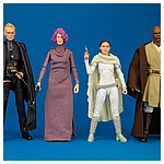 Padme Amidala - The Black Series from Hasbro