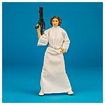 Princess-Leia-Organa-30-New-Head-The-Black-Series-011.jpg