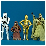 See-Threepio-C-3PO-C2259-C1688-40th-Anniversary-010.jpg