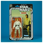 The-Black-Series-40th-Anniversary-C1690-C1688-Luke-Skywalker-016.jpg