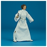 The-Black-Series-40th-C1693-C1688-Princess-Leia-Organa-012.jpg