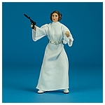 The-Black-Series-40th-C1693-C1688-Princess-Leia-Organa-014.jpg