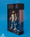 The Black Series 6-Inch Sandtrooper