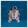 09-R2-D2-Star-Wars-The-Black-Series-TBS-Hasbro-011.jpg