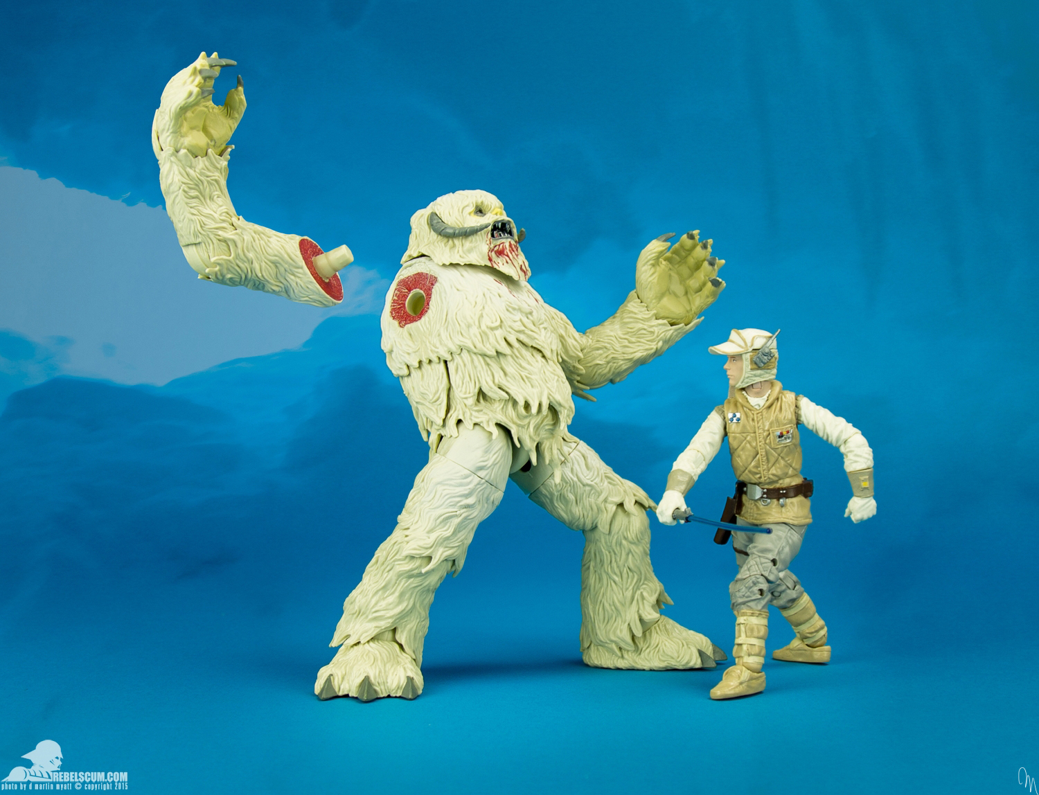 Luke-Skywalker-Wampa-6-inch-The-Black-Series-Hasbro-010.jpg