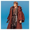 Anakin_Skywalker_Darth_Vader_Vintage_Collection_TVC_VC13-11.jpg