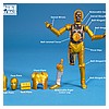 C-3PO_See-Threepio_Vintage_Collection_TVC_VC06-18.jpg