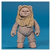 Ewok_Pack_2012_Star_Wars_Movie_Heroes_Hasbro-009.jpg