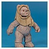 Ewok_Pack_2012_Star_Wars_Movie_Heroes_Hasbro-010.jpg