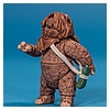 Ewok_Pack_2012_Star_Wars_Movie_Heroes_Hasbro-020.jpg