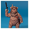 Ewok_Pack_2012_Star_Wars_Movie_Heroes_Hasbro-022.jpg