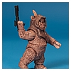 Ewok_Pack_2012_Star_Wars_Movie_Heroes_Hasbro-023.jpg