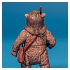 Ewok_Pack_2012_Star_Wars_Movie_Heroes_Hasbro-025.jpg