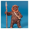 Ewok_Pack_2012_Star_Wars_Movie_Heroes_Hasbro-042.jpg