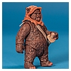 Ewok_Pack_2012_Star_Wars_Movie_Heroes_Hasbro-043.jpg