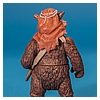 Ewok_Pack_2012_Star_Wars_Movie_Heroes_Hasbro-045.jpg