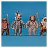 Ewok_Pack_2012_Star_Wars_Movie_Heroes_Hasbro-054.jpg