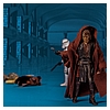 Jocasta_Nu_The_Vintage_Collection_Star_Wars_Hasbro-41.jpg