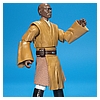 Mace_Windu_Vintage_Collection_TVC_VC35-02.jpg