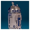 R2-D2_ROTJ_Vintage_Collection_TVC_VC25-07.jpg