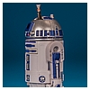 R2-D2_ROTJ_Vintage_Collection_TVC_VC25-11.jpg