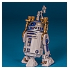 R2-D2_ROTJ_Vintage_Collection_TVC_VC25-15.jpg