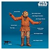 Villain_Set_Snaggletooth_Special_Action_Figure_Set_Star_Wars_Hasbro-10.jpg