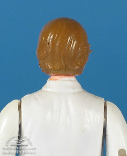 Luke Skywalker with Dark Brown Hair