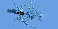 Energy Effect