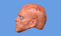 Anakin Skywalker's Head