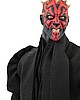DarthMaul7 copy.jpg