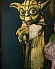 IMG_6526.JPG