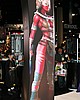 IMG_6565.JPG